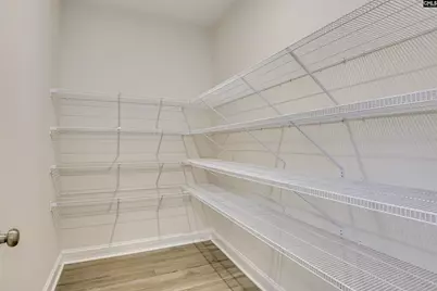 2444 Green Viper Loop, Blythewood, SC 29016 - Photo 21