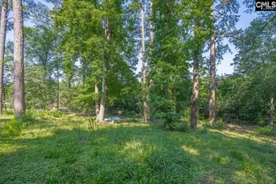 156 Lake Elizabeth Drive, Columbia, SC 29203 - Photo 43