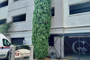 1085 Shop Road 247, Columbia, SC 29201 - Photo 19