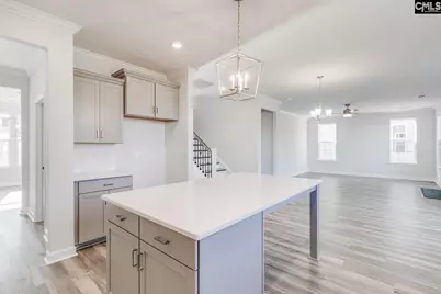 242 Horse Farm Place, Lexington, SC 29072 - Photo 11