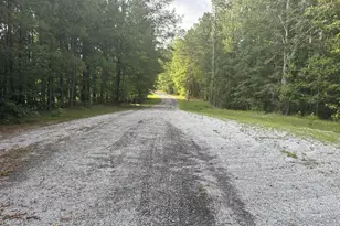 320 Dewdrop Dr, Ridgeway, SC 29130 - Photo 1