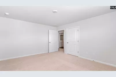 535 Leathertree Lane, Blythewood, SC 29016 - Photo 23