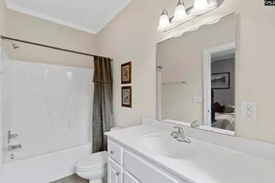 302 Lookout Hill Drive, Chapin, SC 29036 - Photo 31