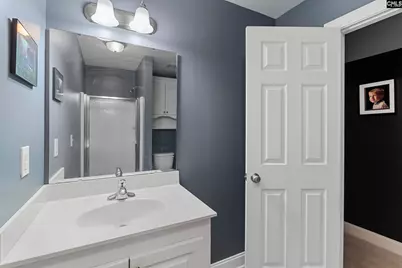 302 Lookout Hill Drive, Chapin, SC 29036 - Photo 35