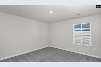 170 Livingston Woods Drive, Irmo, SC 29063 - Photo 27