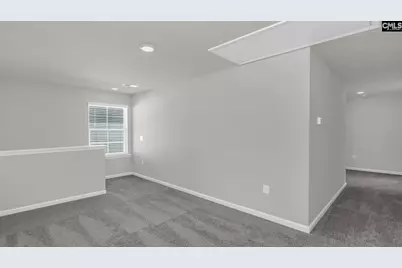 170 Livingston Woods Drive, Irmo, SC 29063 - Photo 19