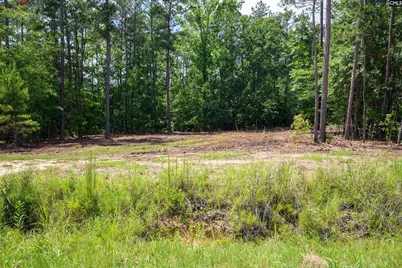 227 Maxie Road Lot 3 #Lot 3, Lexington, SC 29072 - Photo 5