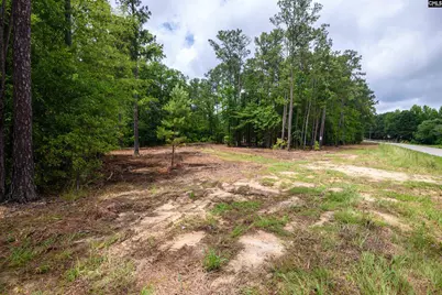 227 Maxie Road Lot 3 #Lot 3, Lexington, SC 29072 - Photo 3