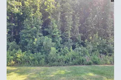 Lot 85 Clouds Creek Circle #Lot 85, Leesville, SC 29070 - Photo 3