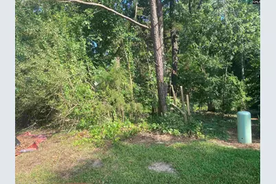 115 Beacon Point Road #33, Irmo, SC 29063 - Photo 1