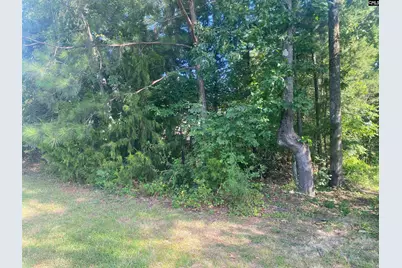 115 Beacon Point Road #33, Irmo, SC 29063 - Photo 3