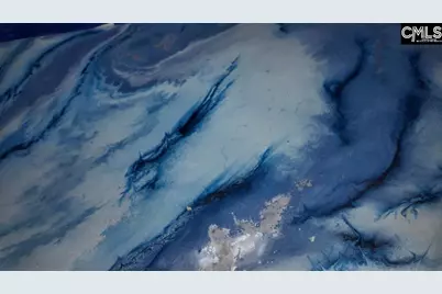 205 Miles Oak Lane, Blythewood, SC 29016 - Photo 13