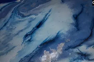 205 Miles Oak Ln, Blythewood, SC 29016 - Photo 13