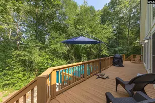 813 Edisto Lake Rd, Wagener, SC 29164 - Photo 41