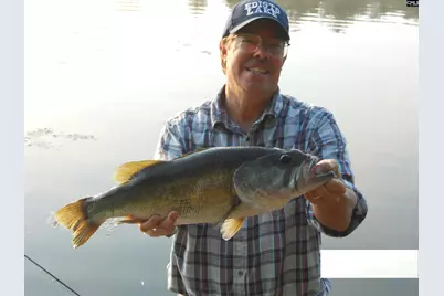 813 Edisto Lake Road, Wagener, SC 29164 - Photo 57