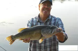 813 Edisto Lake Rd, Wagener, SC 29164 - Photo 57