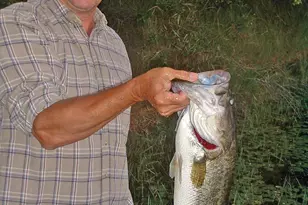 813 Edisto Lake Rd, Wagener, SC 29164 - Photo 55