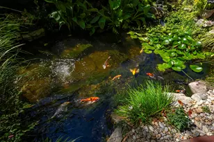 121 Saluda Ave, Columbia, SC 29205 - Photo 83