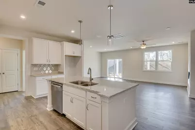 326 Chapin Place Way, Chapin, SC 29036 - Photo 3