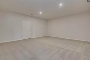 326 Chapin Pl Wy, Chapin, SC 29036 - Photo 21