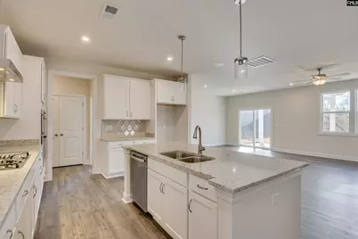 326 Chapin Place Way, Chapin, SC 29036 - Photo 5