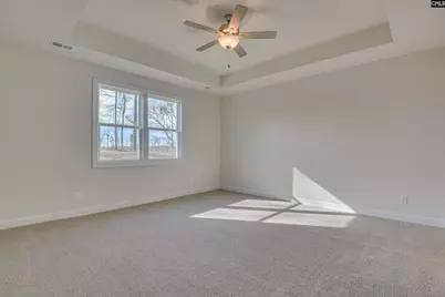 326 Chapin Place Way, Chapin, SC 29036 - Photo 35