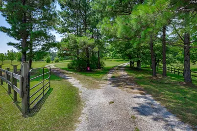 274 Old Harden Road, Winnsboro, SC 29180 - Photo 5