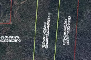 Tbd Baxley Rd, Bowman, SC 29018 - Photo 1