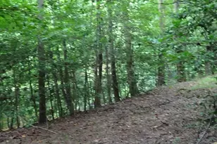 2815 Hwy 1 S, Elgin, SC 29045 - Photo 9