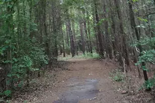 2815 Hwy 1 S, Elgin, SC 29045 - Photo 15