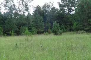 2815 Hwy 1 S, Elgin, SC 29045 - Photo 7