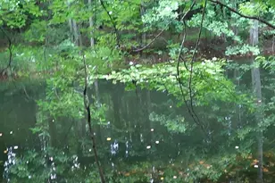 2815 Hwy 1 S, Elgin, SC 29045 - Photo 13