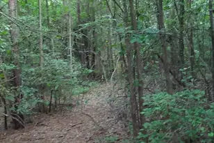 2815 Hwy 1 S, Elgin, SC 29045 - Photo 17