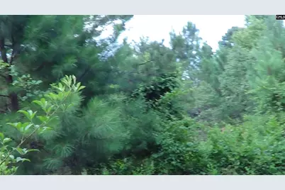 2815 Highway 1 S, Elgin, SC 29045 - Photo 9