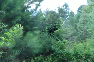 2815 Hwy 1 S, Elgin, SC 29045 - Photo 9