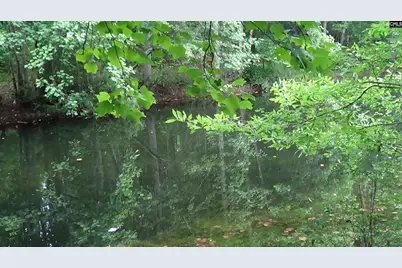 2815 Highway 1 S, Elgin, SC 29045 - Photo 3