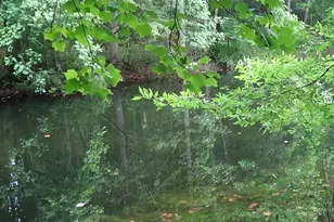 2815 Hwy 1 S, Elgin, SC 29045 - Photo 3