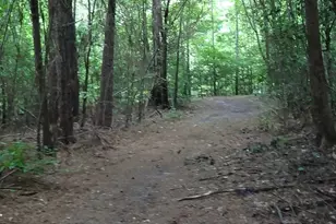 2815 Hwy 1 S, Elgin, SC 29045 - Photo 5