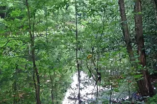 2815 Hwy 1 S, Elgin, SC 29045 - Photo 11