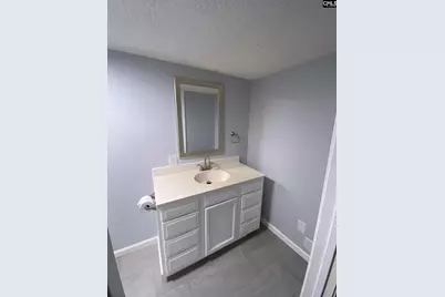 128 Sandy Springs Lane, Lexington, SC 29073 - Photo 51