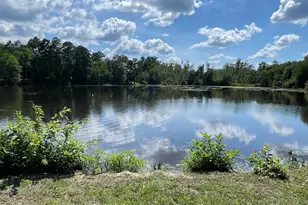 3318 Hollydale Dr, West Columbia, SC 29170 - Photo 1