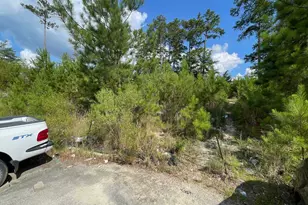 679 Poplar Grove Lane, Columbia, SC 29203 - Photo 1