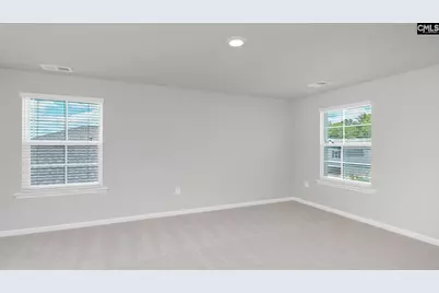 172 Livingston Woods Drive, Irmo, SC 29063 - Photo 19