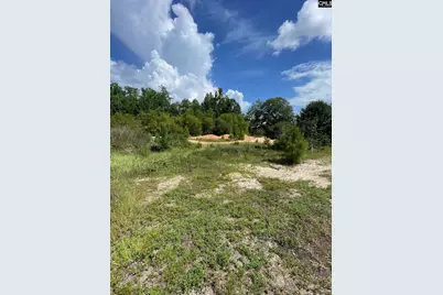 59 Edinburgh Castle Lane #82, Camden, SC 29020 - Photo 1