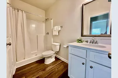 605 Bronze Fantail Run, Lexington, SC 29072 - Photo 19