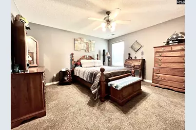 387 Legend Oak Drive, Columbia, SC 29229 - Photo 15