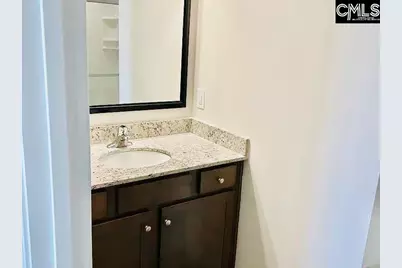 349 Gum Swamp Trl, West Columbia, SC 29169 - Photo 5