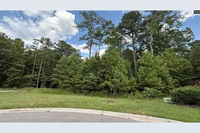 542 Golden Rod Court, Columbia, SC 29016 - Photo 1