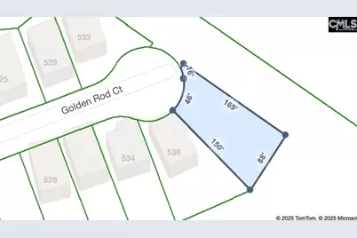 542 Golden Rod Court, Columbia, SC 29016 - Photo 3