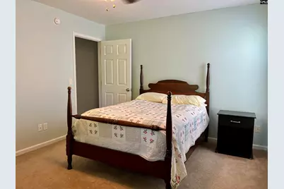 100 Recluse Street, Chapin, SC 29036 - Photo 13